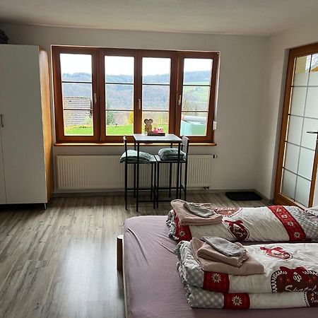 Kleine Ferienwohnung - Naehe Schweizergrenze Hohentengen am Hochrhein Bagian luar foto